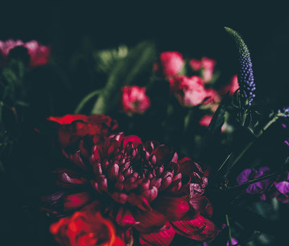 Lawinenunglück Alpen - Digitale Gedenkseite für die Opfer des tragischen Ereignisses vom 16.01.2019